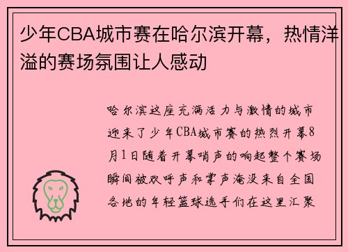 少年CBA城市赛在哈尔滨开幕，热情洋溢的赛场氛围让人感动